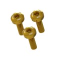 DBK Special Parts (Ducabike) Heat (Exhaust) Shield Screw Kit for the Ducati Hypermotard 698 Mono DBK Special Parts (Ducabike) Heat (Exhaust) Shield Screw Kit for the Ducati Hypermotard 698 Mono